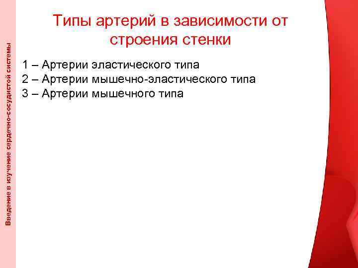 Введение в изучение сердечно-сосудистой системы Типы артерий в зависимости от строения стенки 1 –