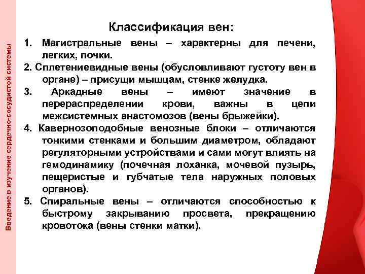 Введение в изучение сердечно-сосудистой системы Классификация вен: 1. Магистральные вены – характерны для печени,