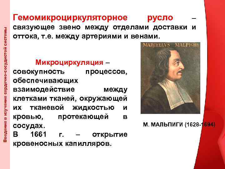 Введение в изучение сердечно-сосудистой системы Гемомикроциркуляторное русло – связующее звено между отделами доставки и