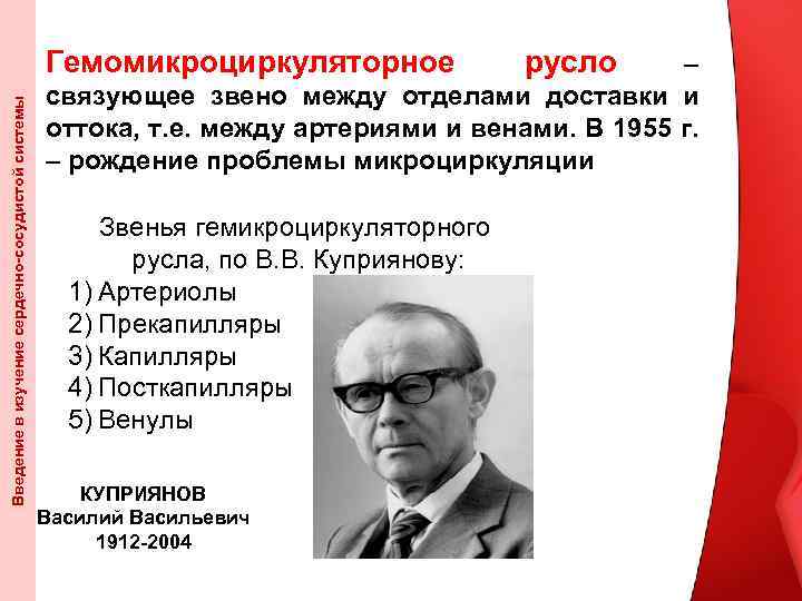 Введение в изучение сердечно-сосудистой системы Гемомикроциркуляторное русло – связующее звено между отделами доставки и