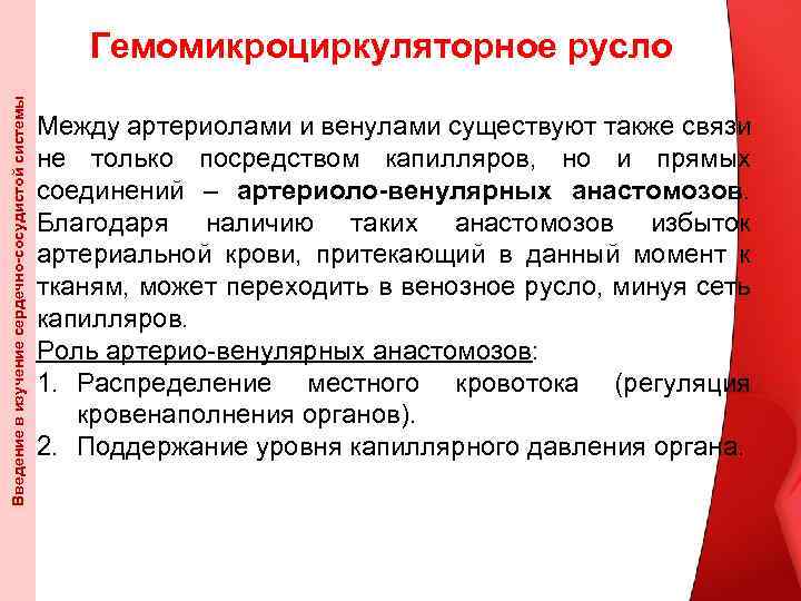 Введение в изучение сердечно-сосудистой системы Гемомикроциркуляторное русло Между артериолами и венулами существуют также связи