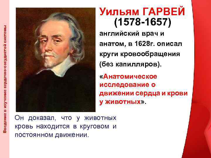 Введение в изучение сердечно-сосудистой системы Уильям ГАРВЕЙ (1578 -1657) английский врач и анатом, в