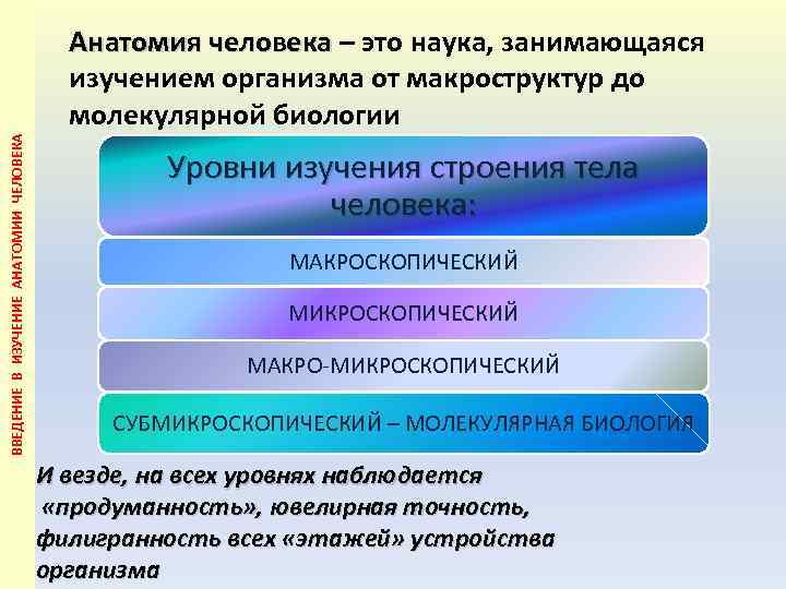 ВВЕДЕНИЕ В ИЗУЧЕНИЕ АНАТОМИИ ЧЕЛОВЕКА Анатомия человека – это наука, занимающаяся изучением организма от