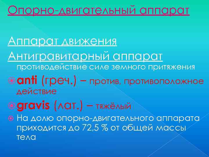 Опорно-двигательный аппарат Аппарат движения Антигравитарный аппарат противодействие силе земного притяжения anti (греч. ) –