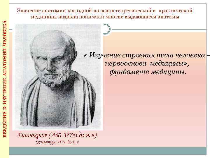 Что означает анатомия. Значимость анатомии. Практическое значение анатомии. Важность анатомии. Введение в изучение анатомии человека.