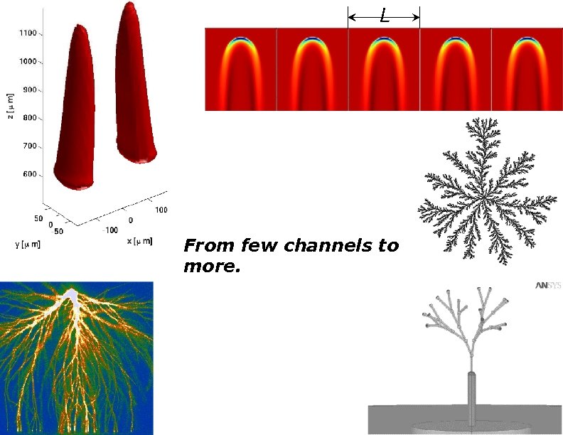 L From few channels to more. DBM 