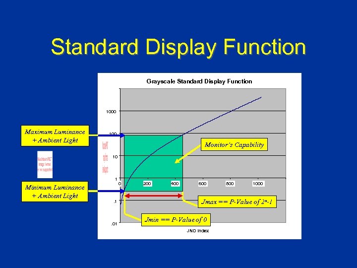 Standard Display Function Grayscale Standard Display Function 1000 Maximum Luminance + Ambient Light 100