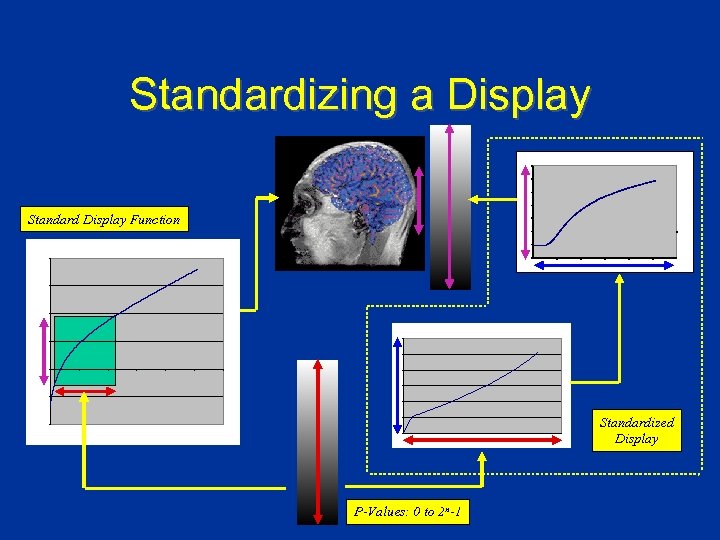 Standardizing a Display Standard Display Function Standardized Display P-Values: 0 to 2 n-1 