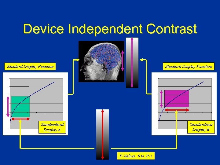 Device Independent Contrast Standard Display Function Standardized Display B Standardized Display A P-Values: 0