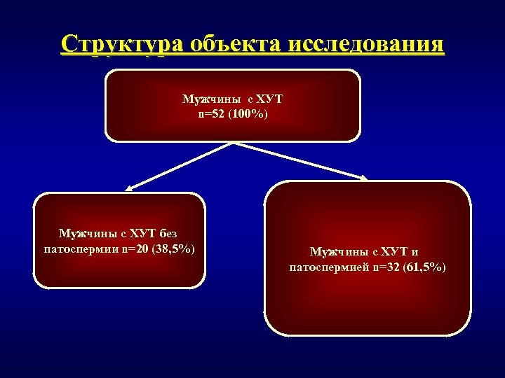 Структура объекта исследования Мужчины с ХУТ n=52 (100%) Мужчины c ХУТ без патоспермии n=20
