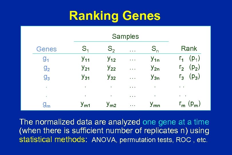 Ranking Genes Samples Genes g 1 g 2 g 3. . gm S 1