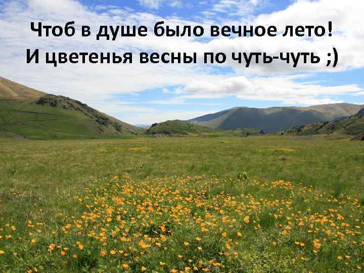 Чтоб в душе было вечное лето! И цветенья весны по чуть-чуть ; ) 