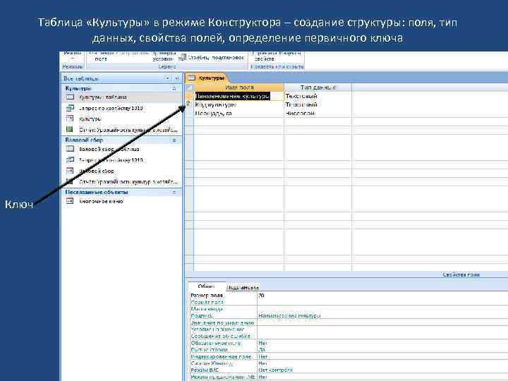 Таблица «Культуры» в режиме Конструктора – создание структуры: поля, тип данных, свойства полей, определение