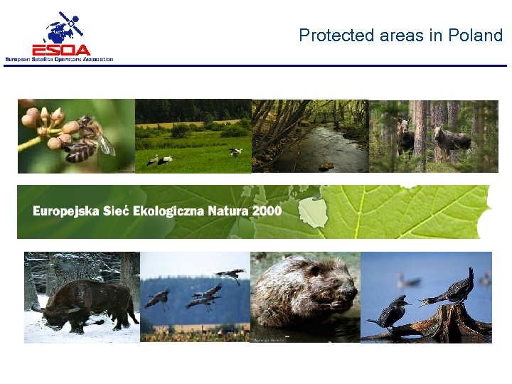 Protected areas in Poland 