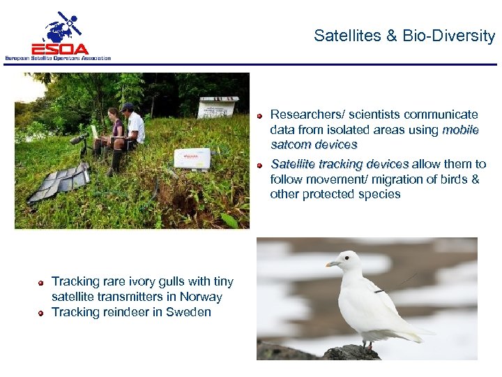 Satellites & Bio-Diversity Researchers/ scientists communicate data from isolated areas using mobile satcom devices