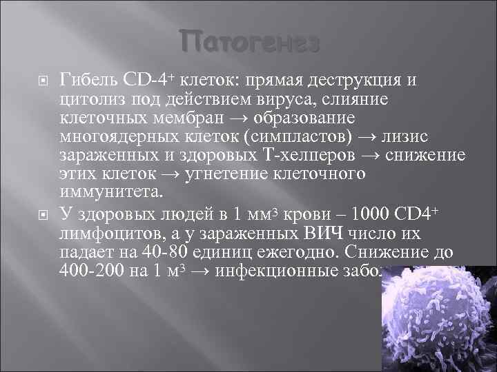 Патогенез Гибель CD-4+ клеток: прямая деструкция и цитолиз под действием вируса, слияние клеточных мембран