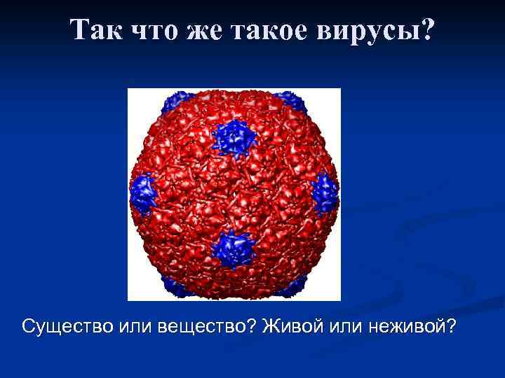 Так что же такое вирусы? Существо или вещество? Живой или неживой? 