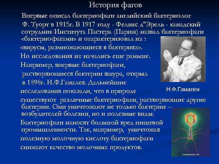 История фагов Впервые описал бактериофаги английский бактериолог Ф. Туорт в 1915 г. В 1917