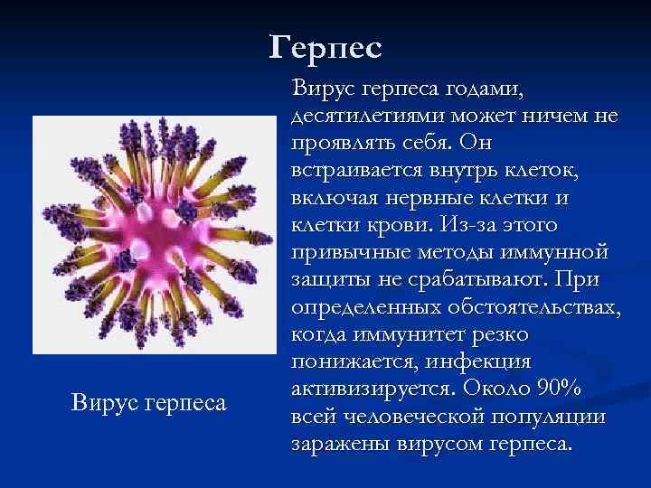 Герпес Вирус герпеса годами, десятилетиями может ничем не проявлять себя. Он встраивается внутрь клеток,