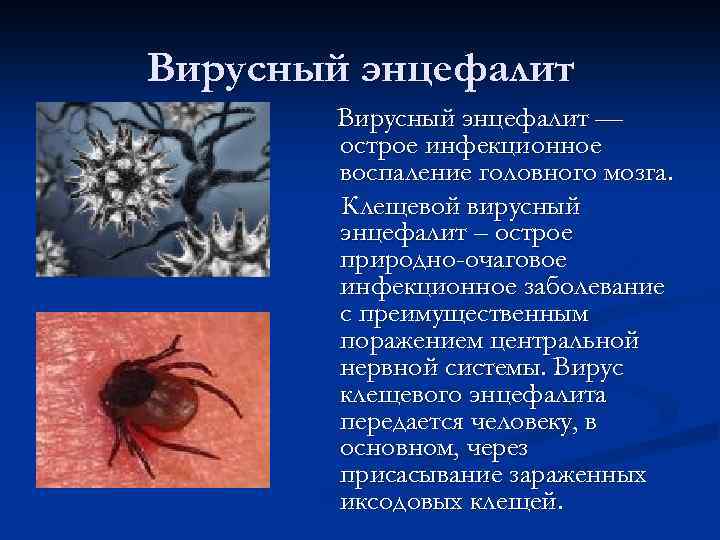 Вирусный энцефалит — острое инфекционное воспаление головного мозга. Клещевой вирусный энцефалит – острое природно-очаговое