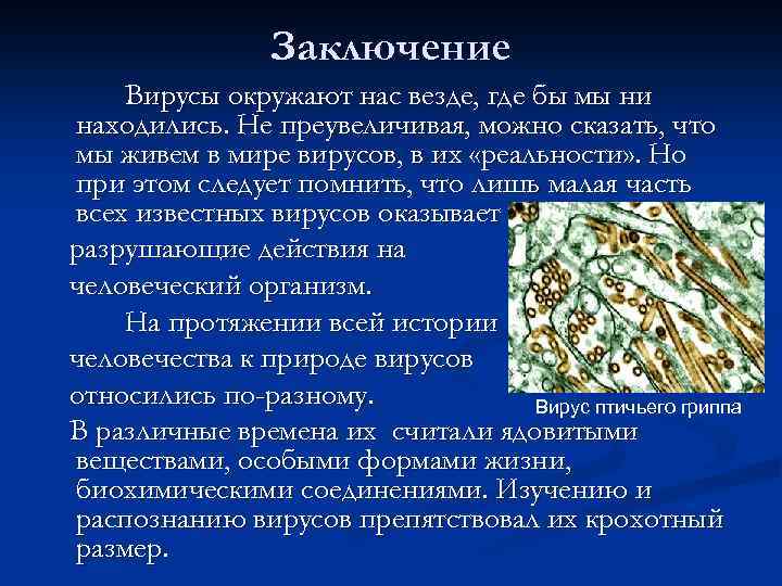 Заключение Вирусы окружают нас везде, где бы мы ни находились. Не преувеличивая, можно сказать,