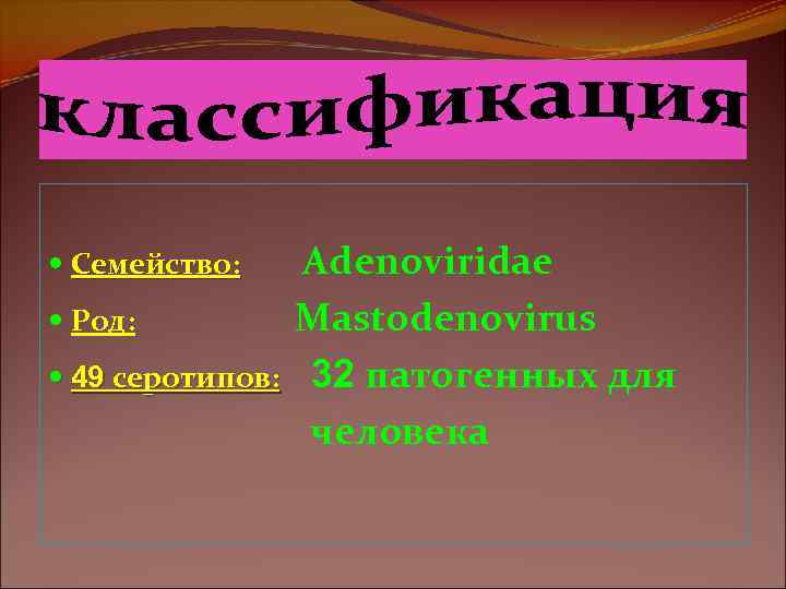  Семейство: Род: 49 серотипов: Аdenoviridae Mastodenovirus 32 патогенных для человека 