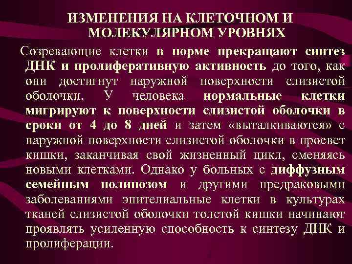 ИЗМЕНЕНИЯ НА КЛЕТОЧНОМ И МОЛЕКУЛЯРНОМ УРОВНЯХ Созревающие клетки в норме прекращают синтез ДНК и