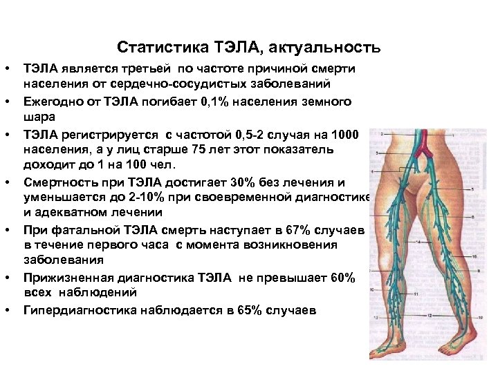 Код тромбоэмболия. Тромбоэмболия артерий нижних конечностей. Тромбоэмболия нижних конечностей симптомы. Тэла актуальность. Тэла причины смерти.