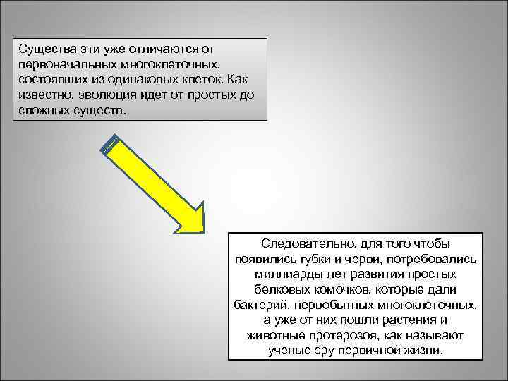 Существа эти уже отличаются от первоначальных многоклеточных, состоявших из одинаковых клеток. Как известно, эволюция
