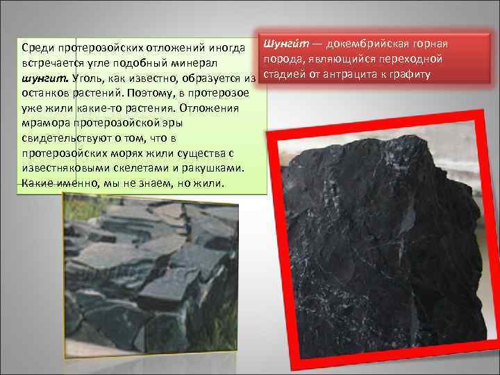 Среди протерозойских отложений иногда Шунги т — докембрийская горная порода, являющийся переходной встречается угле