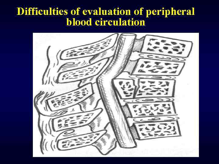 Difficulties of evaluation of peripheral blood circulation 