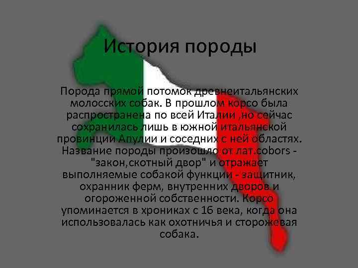История породы Порода прямой потомок древнеитальянских молосских собак. В прошлом корсо была распространена по