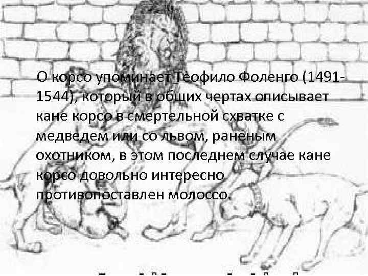 О корсо упоминает Теофило Фоленго (14911544), который в общих чертах описывает кане корсо в
