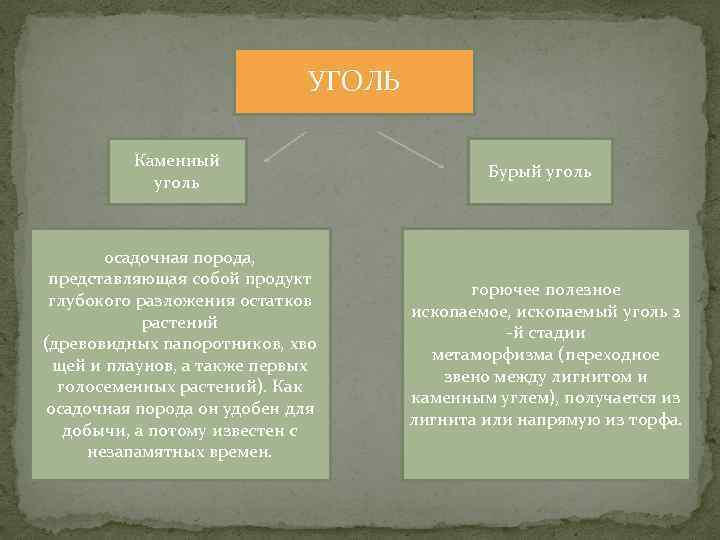 УГОЛЬ Каменный уголь осадочная порода, представляющая собой продукт глубокого разложения остатков растений (древовидных папоротников,