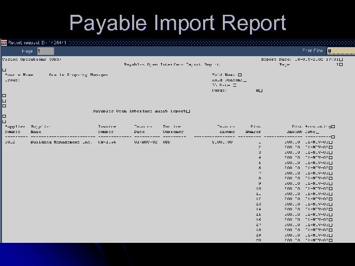 Payable Import Report 