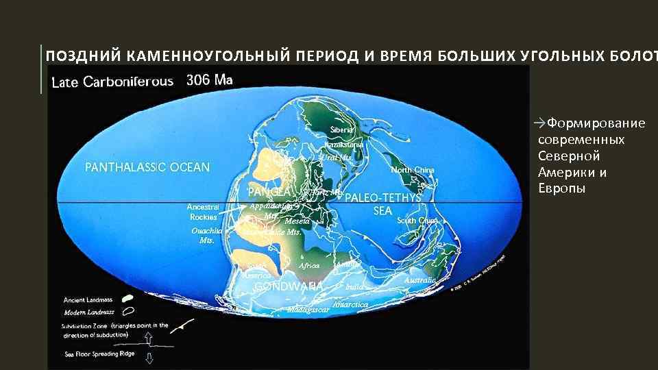 ПОЗДНИЙ КАМЕННОУГОЛЬНЫЙ ПЕРИОД И ВРЕМЯ БОЛЬШИХ УГОЛЬНЫХ БОЛОТ →Формирование современных Северной Америки и Европы