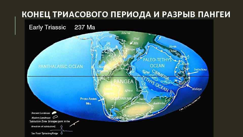 КОНЕЦ ТРИАСОВОГО ПЕРИОДА И РАЗРЫВ ПАНГЕИ 