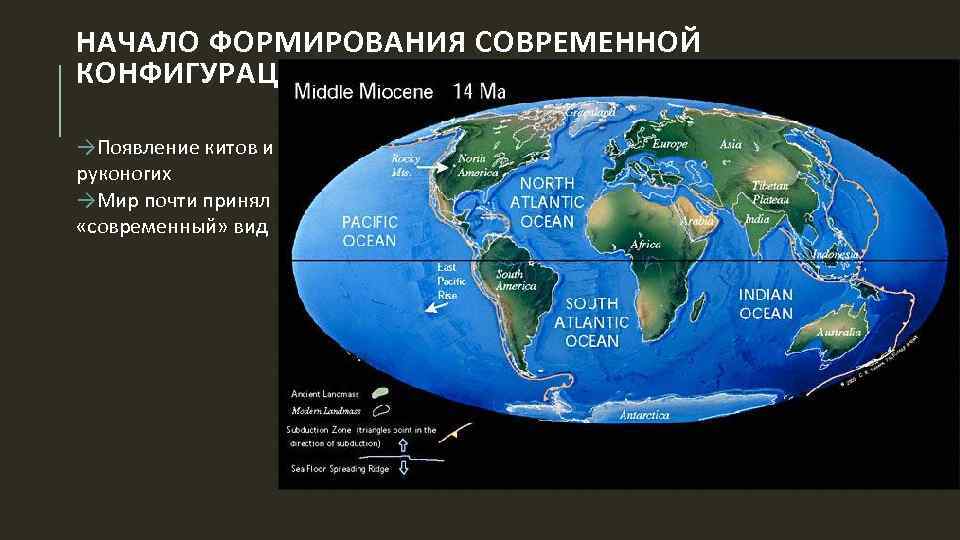 НАЧАЛО ФОРМИРОВАНИЯ СОВРЕМЕННОЙ КОНФИГУРАЦИИ МИРА →Появление китов и руконогих →Мир почти принял «современный» вид