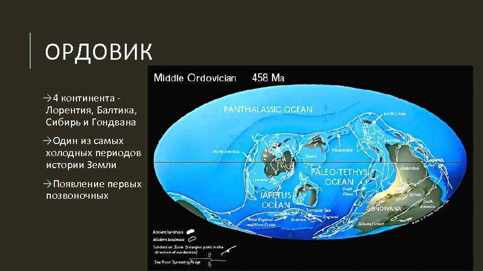 ОРДОВИК → 4 континента - Лорентия, Балтика, Сибирь и Гондвана →Один из самых холодных