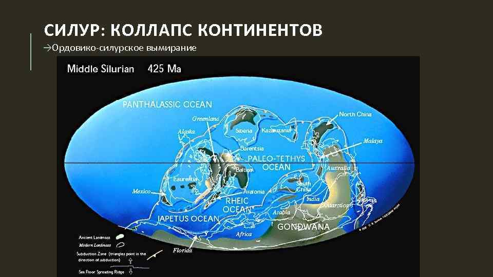 СИЛУР: КОЛЛАПС КОНТИНЕНТОВ →Ордовико-силурское вымирание 