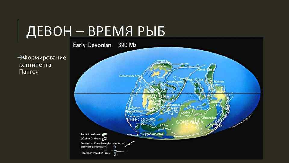 ДЕВОН – ВРЕМЯ РЫБ →Формирование континента Пангея 