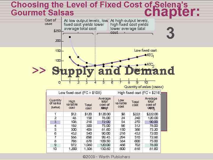 Choosing the Level of Fixed Cost of Selena’s Gourmet Salsas chapter: Cost of case