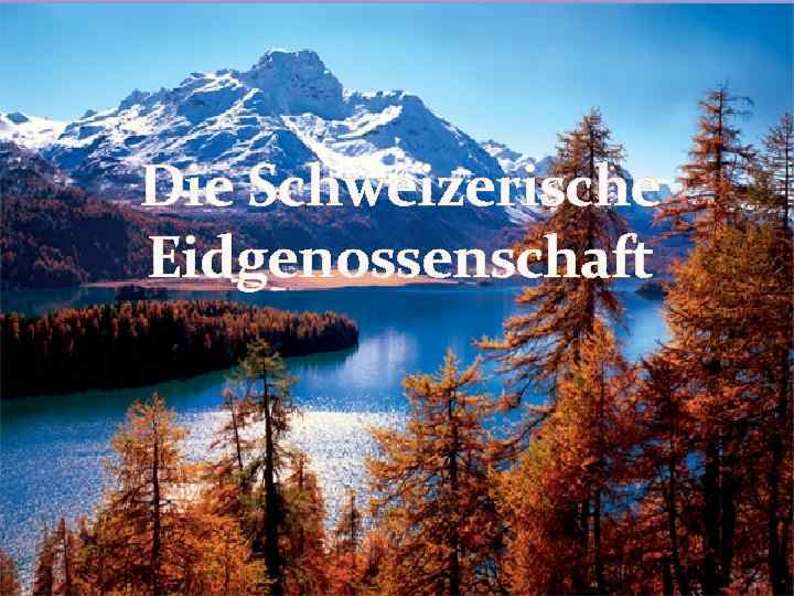 Die Schweizerische Eidgenossenschaft 