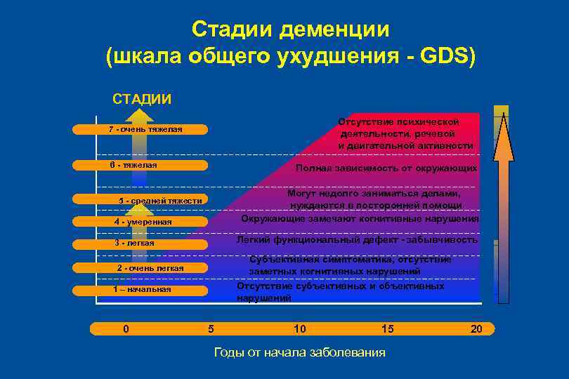 Стадии деменции (шкала общего ухудшения - GDS) СТАДИИ Отсутствие психической деятельности, речевой и двигательной