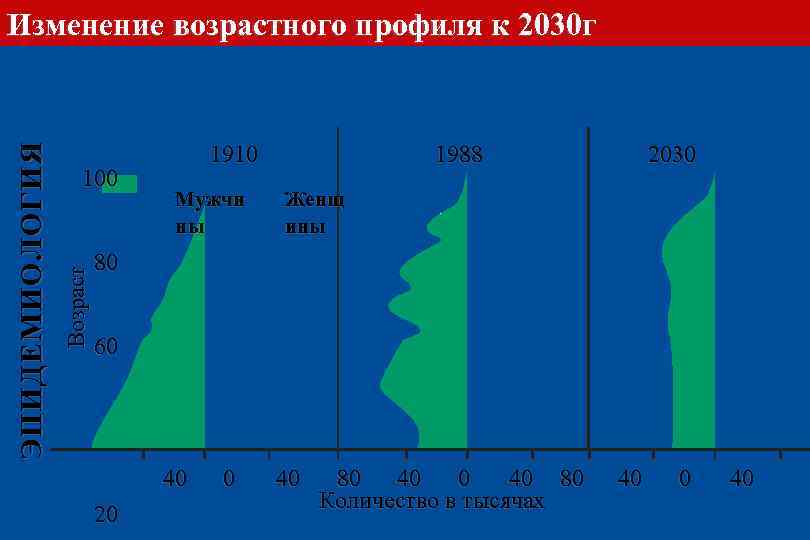 100 Возраст ЭПИДЕМИОЛОГИЯ Изменение возрастного профиля к 2030 г 1910 Мужчи ны 1988 2030