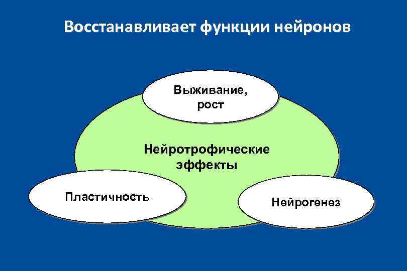 Восстанавливает функции нейронов Выживание, рост Нейротрофические эффекты Пластичность Нейрогенез 