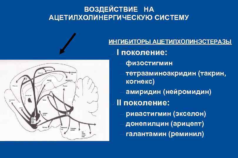ВОЗДЕЙСТВИЕ НА АЦЕТИЛХОЛИНЕРГИЧЕСКУЮ СИСТЕМУ ИНГИБИТОРЫ АЦЕТИЛХОЛИНЭСТЕРАЗЫ l I поколение: – физостигмин – тетрааминоакридин (такрин,