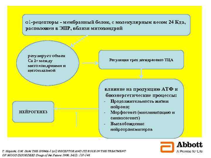 σ1 -рецепторы - мембранный белок, с молекулярным весом 24 Кда, расположен в ЭПР, вблизи