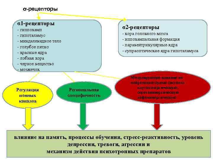 σ-рецепторы σ1 -рецепторы σ2 -рецепторы - гиппокамп - гипоталамус - миндалевидное тело - голубое