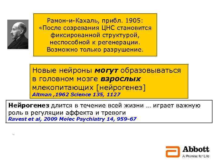 Рамон-и-Кахаль, прибл. 1905: «После созревания ЦНС становится фиксированной структурой, неспособной к регенерации. Возможно только